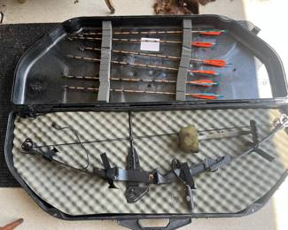 Compound Bow and Arrow 
