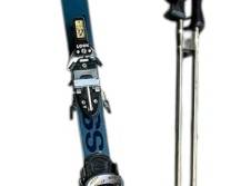 Rossignol Skis Ski Poles