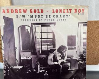 Andrew Lonely Boy 45 $2.00