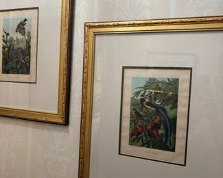 Framed prints