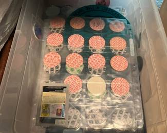 Pogs