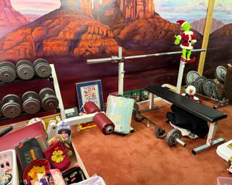 Weight bench, Christmas, speakers