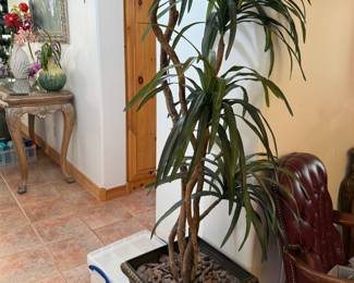 fake plants