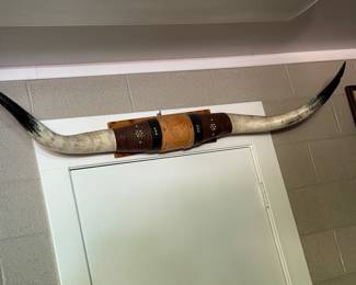 Bull Horns