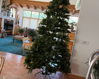 Large tree