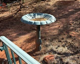 for the birds