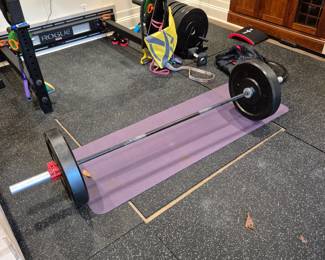 Rouge Plate Weights & Bar