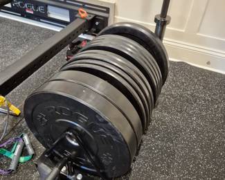 Rouge Plate Weights