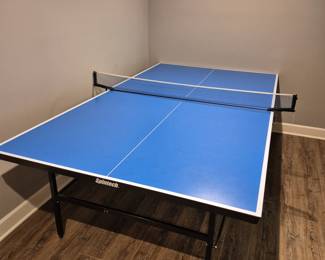 Spintech Ping Pong Table