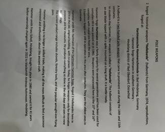Information on Pole Weapons…the orgins