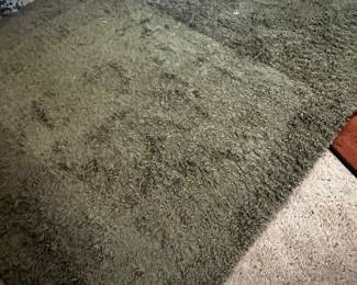 Green area Rug app 5x8