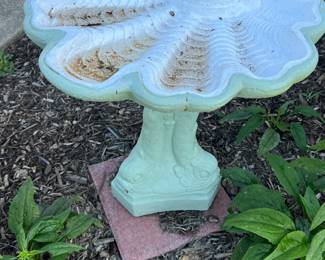 Bird Bath