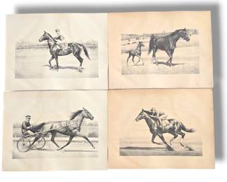 Equestrian Prints