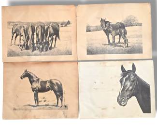 Equestrian Prints