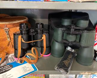 Nice quality binoculars with cases.