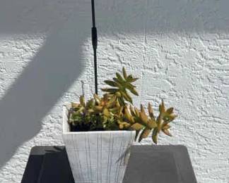 Hose Holder, Small Plant, Decorative Dog Wind Piece