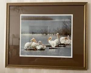 Framed & Signed Charlie Hohorst Photos