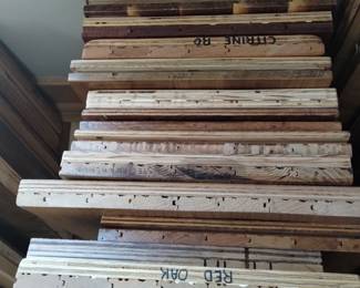 (12ea) Misc. Species Wood Samples