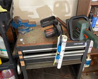 Electric Trimmer and chainsaw 