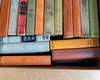 Zane Grey Book Collection – 15 Hardcovers
Nice vintage set of Zane Grey novels, mostly Grosset & Dunlap / Collier reprints, plus one collectible Harper & Brothers edition of The Vanishing American (1925 printing). Classic Western titles including The Lone Star Ranger, Western Union, Desert Gold, and more.