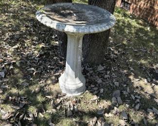 Bird Bath