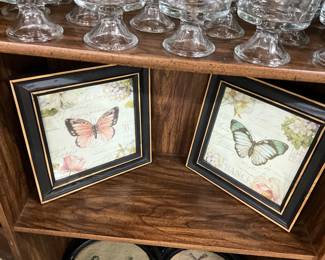 Framed Butterfly Prints