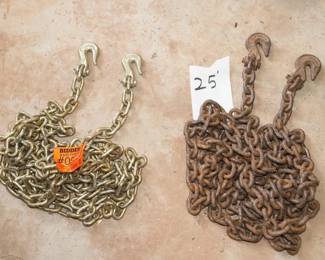  25’ Logging Chains