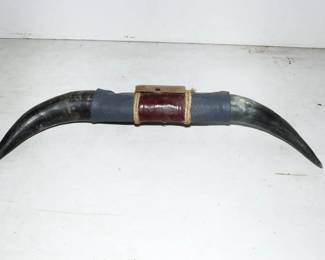Cattle Horns