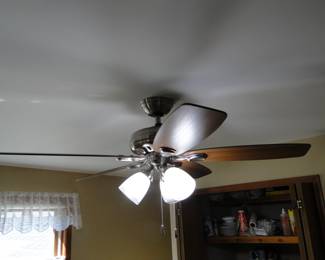 This ceiling fan.............also for sale
