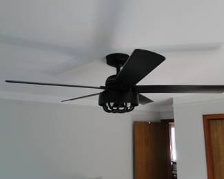 Yes, even the ceiling fans are for sale