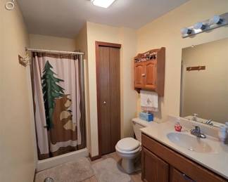 Lights, and fan. Vanity, shower curtain, closet door, medicine cabinet, rugs, and also the toilet too. What part of everything must go might we need to say more