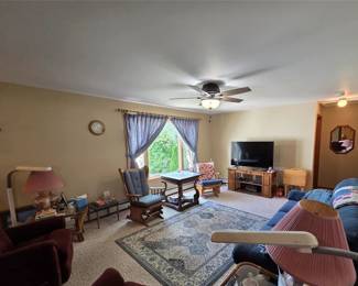 Yup, lights, drapes, lamps, mirror, rug, floor rug, wall to wall carpeting, chair, table, and TV everything that you see in this pictures, is for sale, even the ceiling fan, and all the wood trim and heaters too