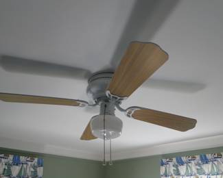 Yes this ceiling fan and all the others are also for sale