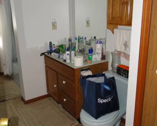 Do not be shy, everything that you see in this picture including the toilet, cabinet vanity and more is for sale