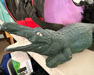 Alligator
