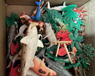 collection of sea animals