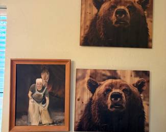 Bear pictures