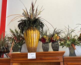 Plant Decor 