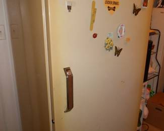 Upright Freezer