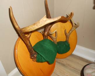 Deer Antlers