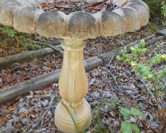 Bird Bath