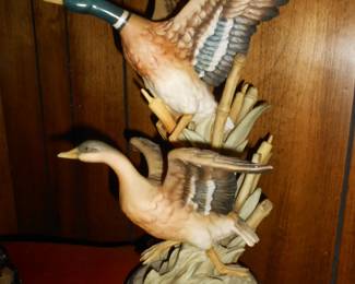 Ducks