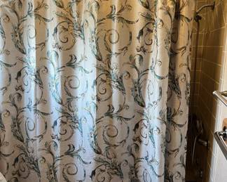 Shower curtain and hooks