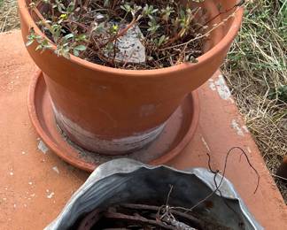Metal bucket with horse shoes and other assorted metal items.
Terra cotta pot