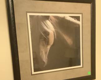 One of the pictures of horses.  Beautifully framed and matted.