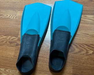 Fins 