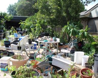 EVERYTHING YOU NEED FOR YOUR GARDEN