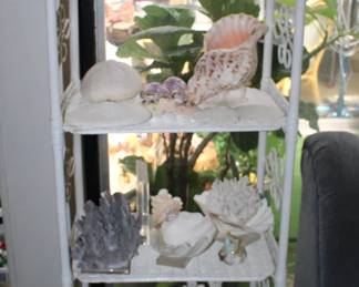 seashell decors