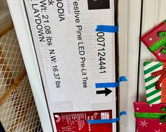 Fresh Cambodian Christmas Tree.