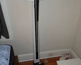 Health o Meter Scale